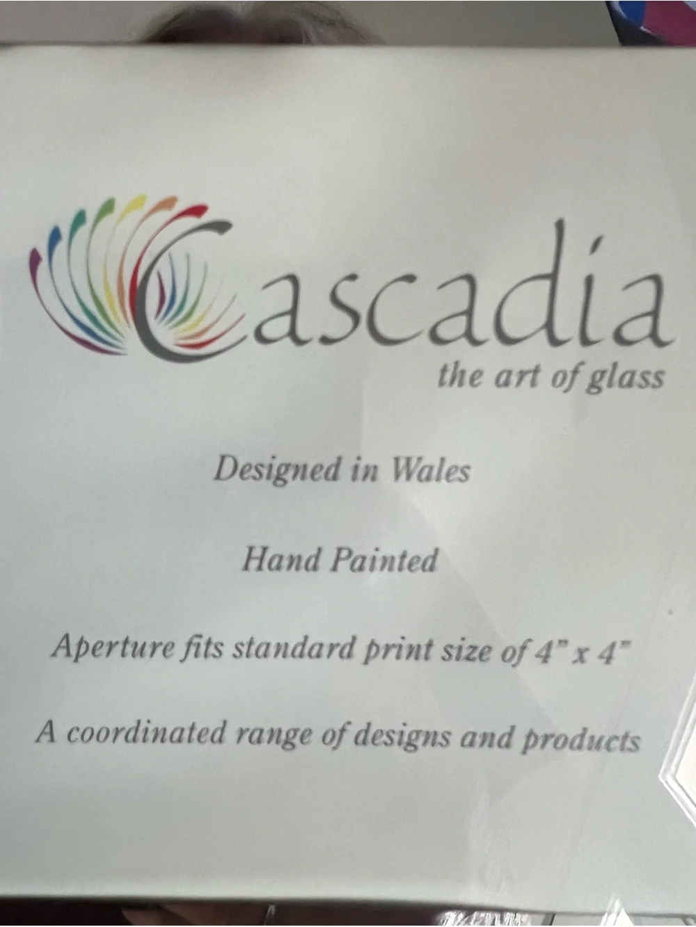 Cascadia Art of Glass Hand Painted Floral Mirror Frame, 7” square w/4x4 for pic